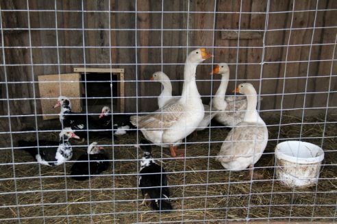 Проект "Туризм без чемодана": едем в Волковыск (Добавлено видео)