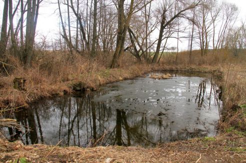 Проект "Туризм без чемодана": едем в Волковыск (Добавлено видео)