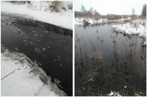 В Лидском районе остановлен мор рыбы