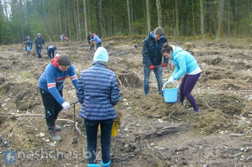 Юные лесоводы из Волковысского района заняли первое место в Международной олимпиаде по посадке деревьев «ENO Treelympics 2016»