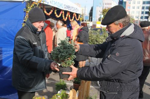 На Гродненщине в субботу пройдет «Бярозавы фэст»: будут сок, садовый инвентарь, семена и привлекательные цены!