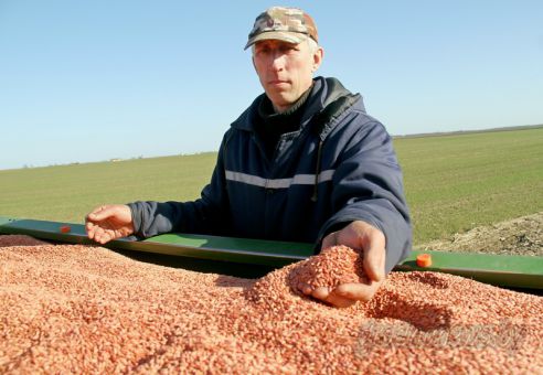Все районы области приступили к весеннему севу (Будет дополнено)