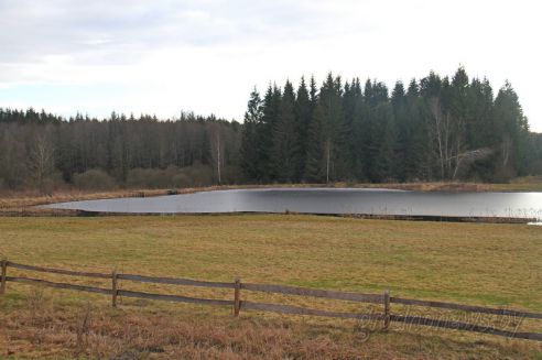 Проект "Туризм без чемодана": едем в Кореличи и Мир