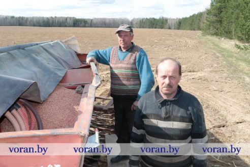 На Гродненщине уже посеяно около 20 процентов яровых культур (Дополняется)