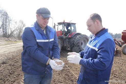 На Гродненщине уже посеяно около 20 процентов яровых культур (Дополняется)