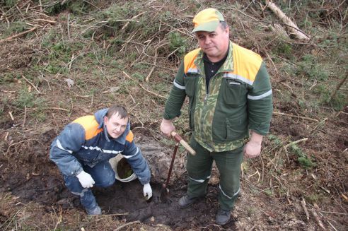 В Лидском районе проходит добровольная республиканская акция «Неделя леса»