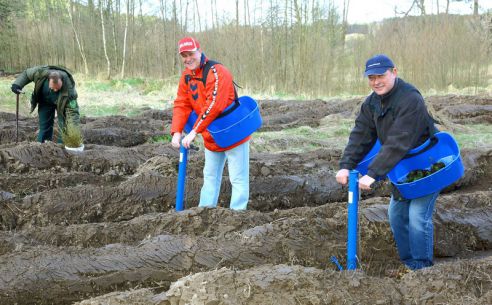 Более семи тысяч жителей Гродненщины приняли участие в «Неделе леса»