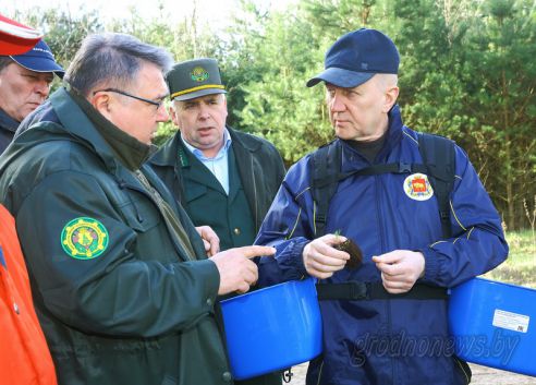Более семи тысяч жителей Гродненщины приняли участие в «Неделе леса»