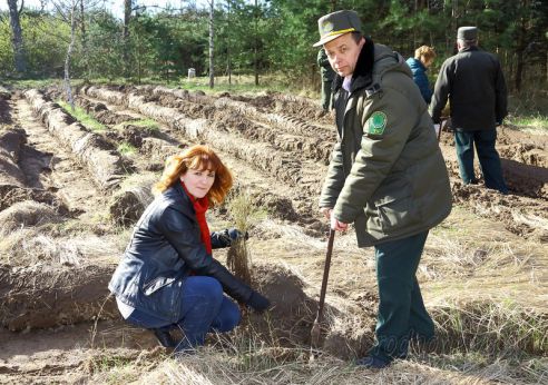 Более семи тысяч жителей Гродненщины приняли участие в «Неделе леса»