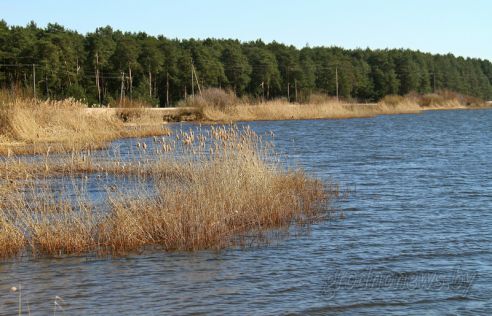 Проект "Туризм без чемодана": едем в Зельву (Добавлено видео)