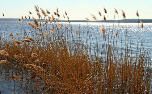 Проект "Туризм без чемодана": едем в Зельву (Добавлено видео)