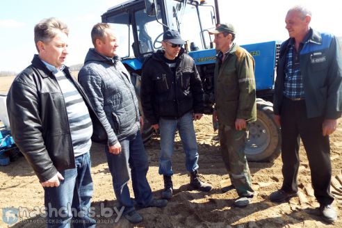 На Гродненщине засеяна треть площадей, отведенных под яровые культуры