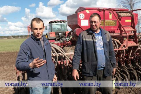 На Гродненщине засеяна треть площадей, отведенных под яровые культуры