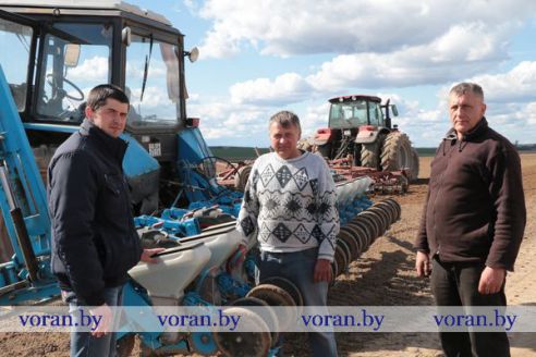 На Гродненщине засеяна треть площадей, отведенных под яровые культуры