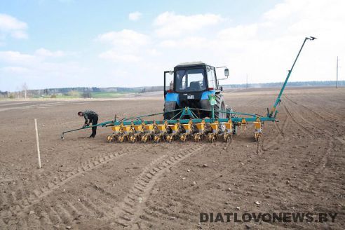 На Гродненщине засеяна треть площадей, отведенных под яровые культуры