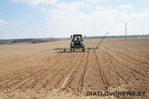 На Гродненщине засеяна треть площадей, отведенных под яровые культуры