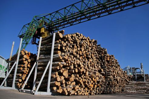 Проект "Туризм без чемодана": едем в Мосты (Добавлено видео)