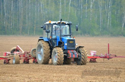На Гродненщине засеяно 38 процентов площадей, отведенных под яровые культуры