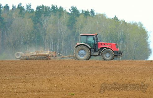 На Гродненщине засеяно 38 процентов площадей, отведенных под яровые культуры