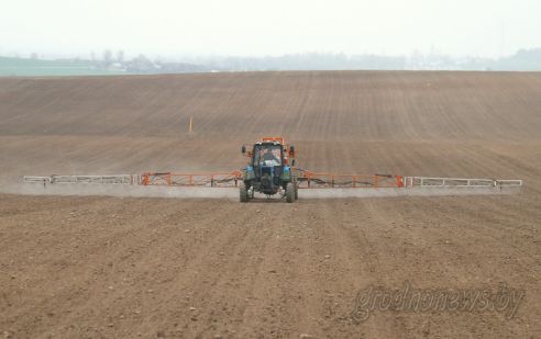 На Гродненщине засеяно 38 процентов площадей, отведенных под яровые культуры