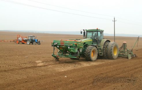 На Гродненщине засеяно 38 процентов площадей, отведенных под яровые культуры