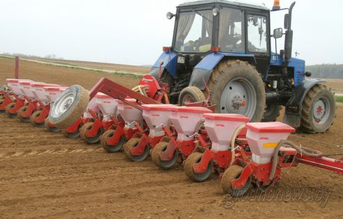 На Гродненщине засеяно 38 процентов площадей, отведенных под яровые культуры