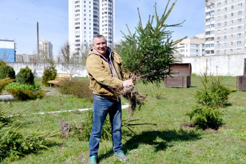 Сад гомельских налоговиков стал вечнозелёным
