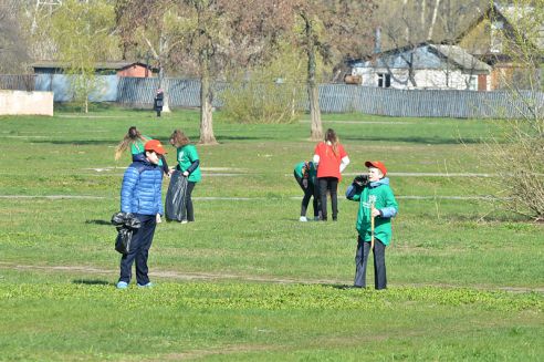 В Гомеле на улице Жукова появились таблички с призывом убирать за своими питомцами