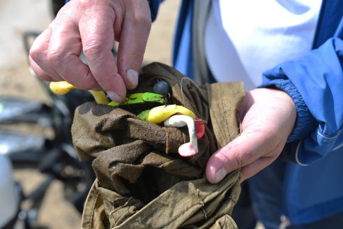 Узнали, почему пляжи Советского района пользуются высоким спросом