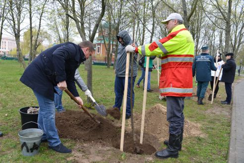 На республиканском субботнике в парке Фестивальном заложили две аллеи лип и берёз