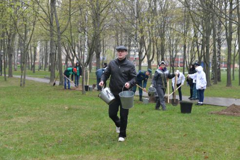 На республиканском субботнике в парке Фестивальном заложили две аллеи лип и берёз