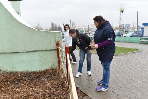 На республиканском субботнике в парке Фестивальном заложили две аллеи лип и берёз