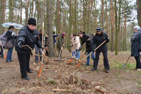 На республиканском субботнике в парке Фестивальном заложили две аллеи лип и берёз
