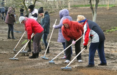 Гродненщина присоединилась к республиканскому субботнику (Дополнено)