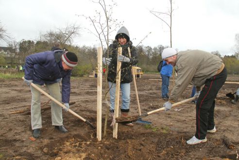 Гродненщина присоединилась к республиканскому субботнику (Дополнено)