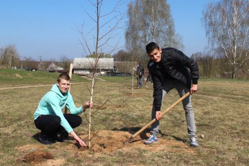 Гродненщина присоединилась к республиканскому субботнику (Дополнено)
