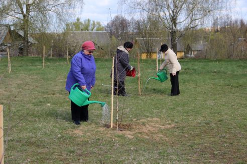 Гродненщина присоединилась к республиканскому субботнику (Дополнено)