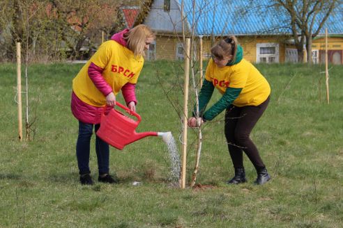 Гродненщина присоединилась к республиканскому субботнику (Дополнено)