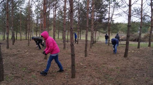 Гродненщина присоединилась к республиканскому субботнику (Дополнено)
