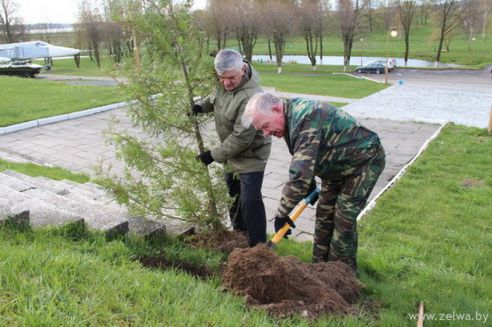 Гродненщина присоединилась к республиканскому субботнику (Дополнено)