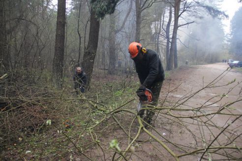 Гродненщина присоединилась к республиканскому субботнику (Дополнено)