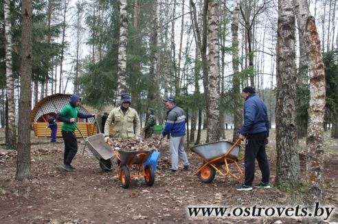 Гродненщина присоединилась к республиканскому субботнику (Дополнено)