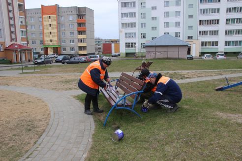 Гродненщина присоединилась к республиканскому субботнику (Дополнено)