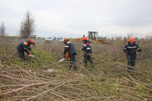 Гродненщина присоединилась к республиканскому субботнику (Дополнено)