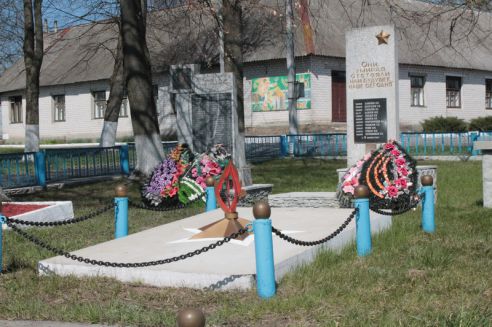 Гродненщина присоединилась к республиканскому субботнику (Дополнено)