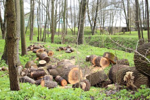 Гродненщина присоединилась к республиканскому субботнику (Дополнено)