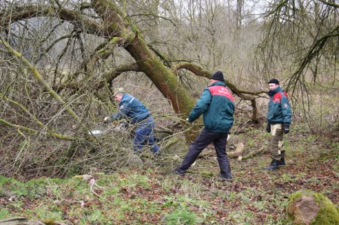 Гродненщина присоединилась к республиканскому субботнику (Дополнено)