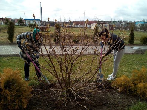 Гродненщина присоединилась к республиканскому субботнику (Дополнено)