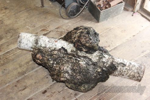 Проект "Туризм без чемодана": едем в Свислочь