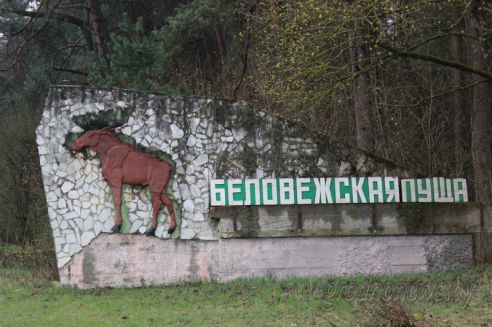 Проект "Туризм без чемодана": едем в Свислочь